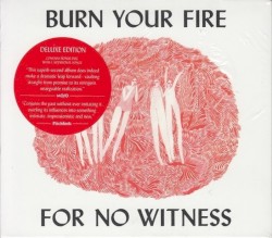 Burn Your Fire for No Witness