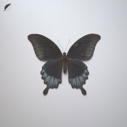 All Comes / Notes
