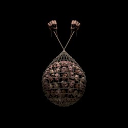 Everybody Supports Women