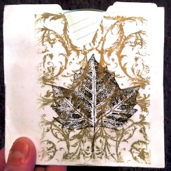 12/07/05 (Acoustic Tour CD)