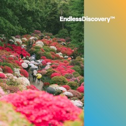 EndlessDiscovery™ 2