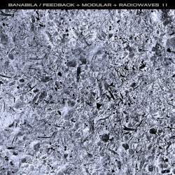 Feedback + Modular + Radiowaves II