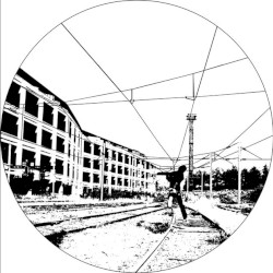 The Owls Are Not What They Seem