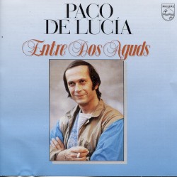 Entre dos aguas