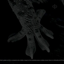 Should a Seeker Not Find a Companion Who Is Better or Equal, Let Him Resolutely Pursue a Solitary Course; There Is No Fellowship With the Fool / Cicada Trance