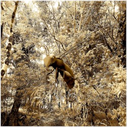 Untitled (2021–2022)