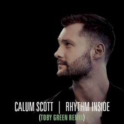 Rhythm Inside (Toby Green remix)