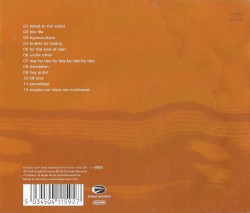 Tomcats Screaming Outside