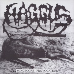 Mincecore Provocateur / Don't Forget to Eat Your Lunch and Make Some Trouble