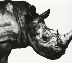 Mr.Children 1992-1995