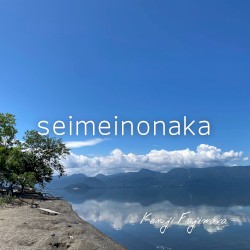 seimeinonaka
