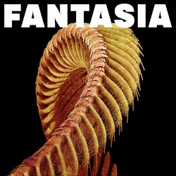 FANTASIA