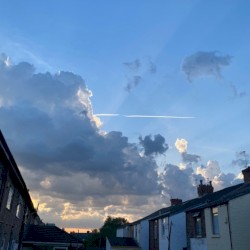 rose bound concrete (seeing you off)