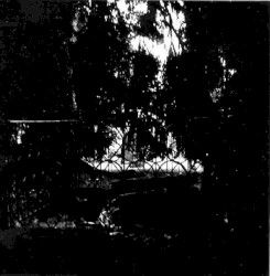 Gestapo 666 / Satanic Warmaster