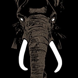 Don't Buy Ivory Anymore! The Music of Henri Texier