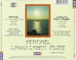 Sentinel & The Fools of the Finest Degree