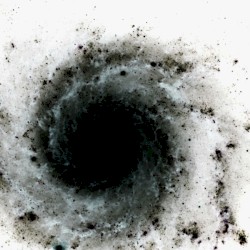 Into a Black Hole Spiral