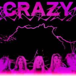 CRAZY (vogue remix)