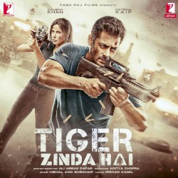 Tiger Zinda Hai
