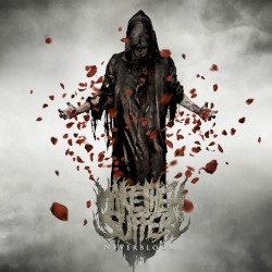 Neverbloom (remaster)