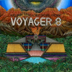 Acid Baby Jesus and Hellshovel Present Voyager 8
