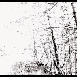The White EP