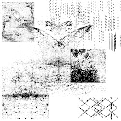 PURA STASI 002