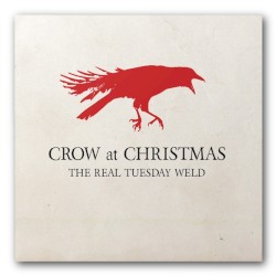 Crow at Christmas