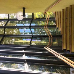 six strings and vocal chords