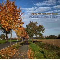 Осыпаются астры в садах