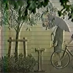 一緒に雨の庭を歩きます / 雲に浮かぶ