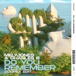 Do You Remember (Coopex Extended Edit)
