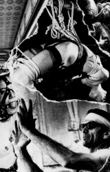 Fevered Dreams of Delirium