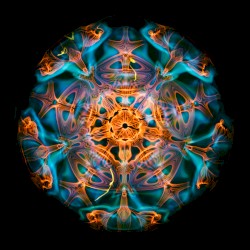 Ambient Journeys, Vol. 1 (La Selva)