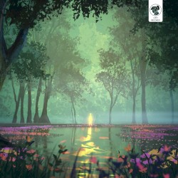 Finding Light