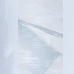 Apparition in Four Movements