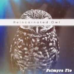 Reincarnated Owl