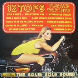 12 Tops – Todays Top Hits