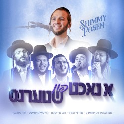 A Night Full of Stars