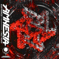 Amnesia (HOL! remix)