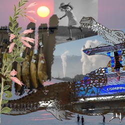 クロコダイル・ヘルシー