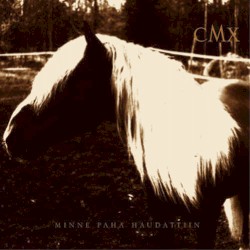 Minne paha haudattiin