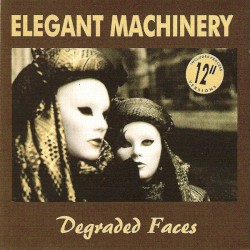 Degraded Faces