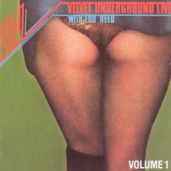 1969: Velvet Underground Live With Lou Reed, Volume 1