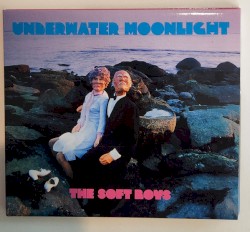 Underwater Moonlight