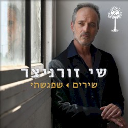 שירים שפגשתי