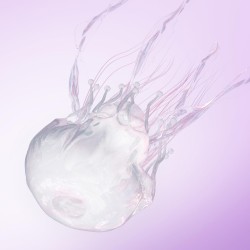 LUMINOUS