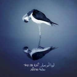 دوامة \\ מערבולת