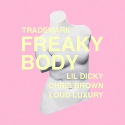 Freaky Body (Lil Dicky X Chris Brown X Loud Luxury)