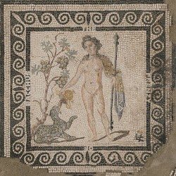 The Frenzy of Bacchus